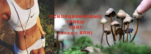 соль ск Навашино