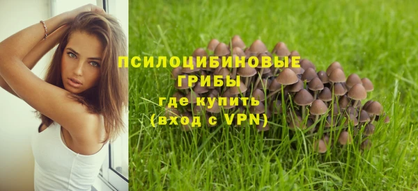 СК Наволоки