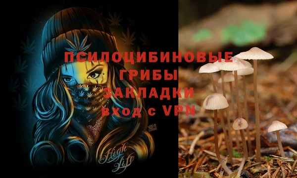 герыч Надым